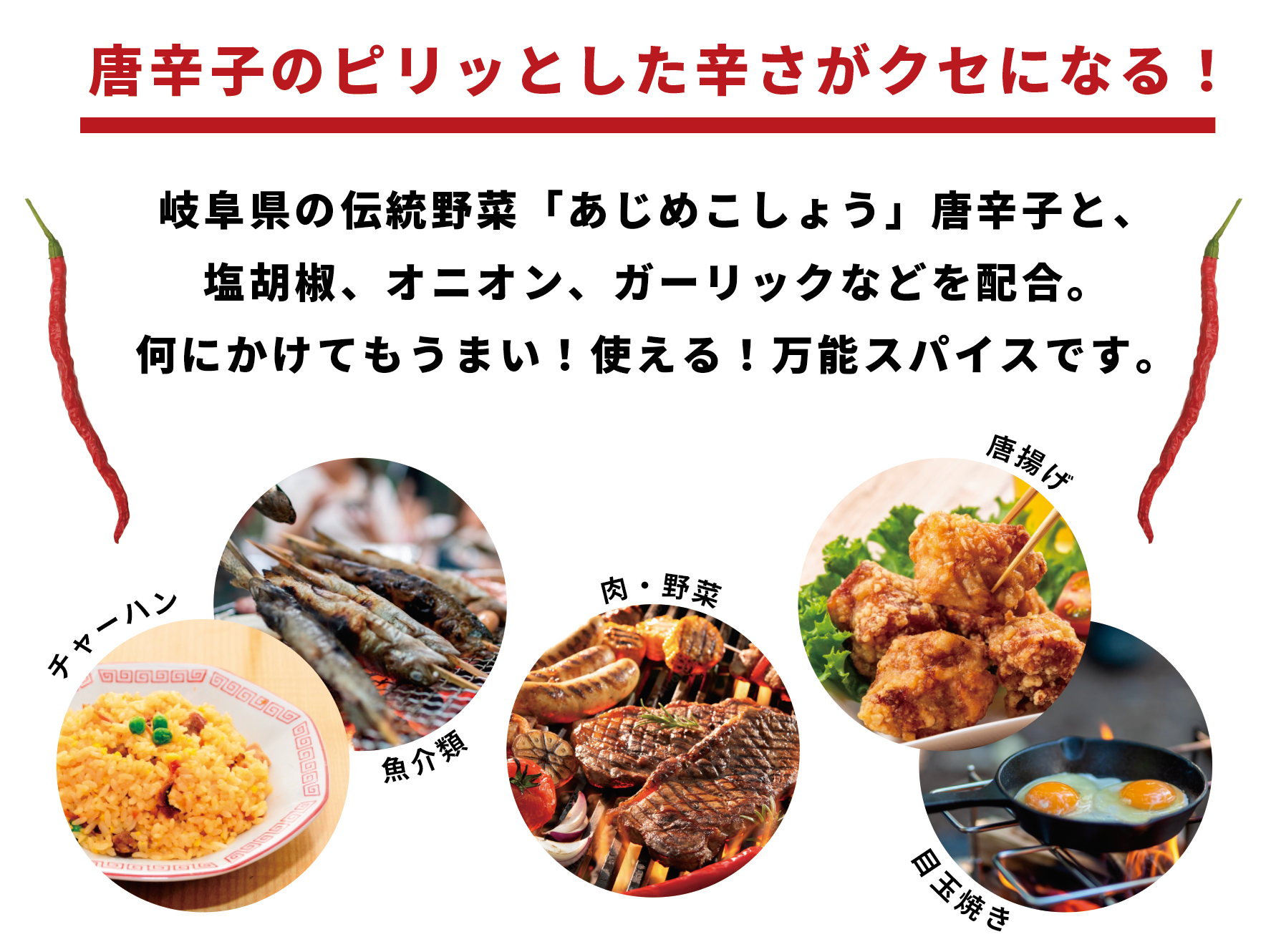 オリジナルスパイスAJIME詰め替えパック（15g） — LGASIAオンラインストア